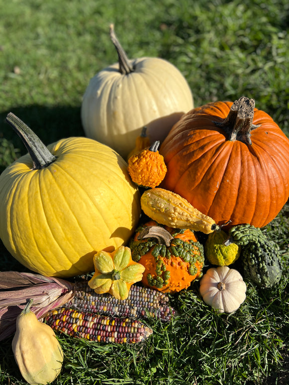 Fall teaching kit