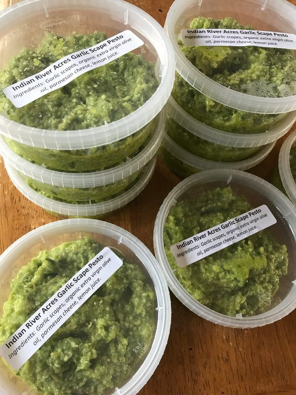 Garlic Scape Pesto