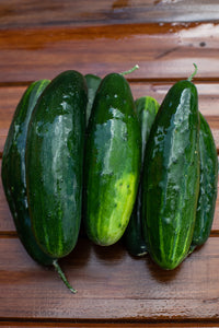 Cucumbers (Field)