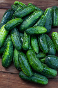Cucumbers (Pickling)