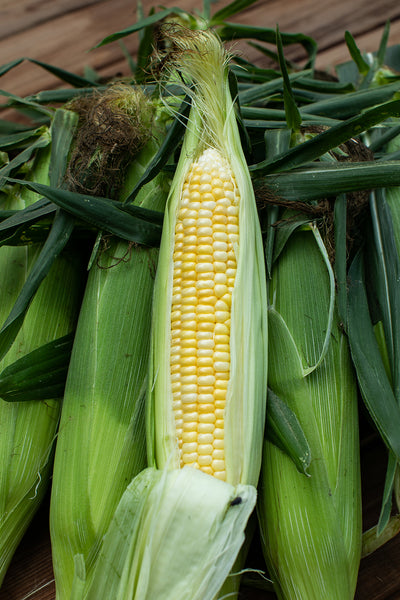 Sweet Corn (Sweet Yellow)